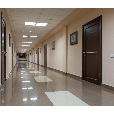 STEINEL Высокочастотный датчик присутствия Hallway DALI APC AP STEINEL Высокочастотный датчик присутствия Hallway DALI APC AP