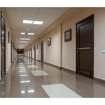 STEINEL Высокочастотный датчик присутствия Hallway DALI APC AP STEINEL Высокочастотный датчик присутствия Hallway DALI APC AP