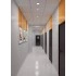STEINEL Высокочастотный датчик присутствия Hallway DALI APC UP STEINEL Высокочастотный датчик присутствия Hallway DALI APC UP