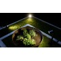 STEINEL Уличный светильник Spot Garden Sensor anthracite STEINEL Уличный светильник Spot Garden Sensor anthracite