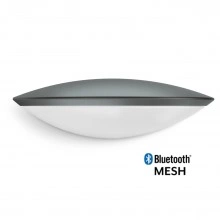 STEINEL L 825 SC 059903 IP 44 anthracite / matt светодиодный светильник с датчиком движения настенный уличны