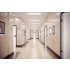STEINEL Высокочастотный датчик присутствия Hallway COM1 AP black STEINEL Высокочастотный датчик присутствия Hallway COM1 AP black